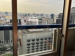 -新加坡瑞士史丹福酒店