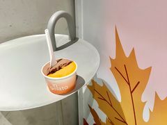 -Dip in Gelato(富民路店)