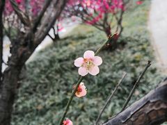 -山东大学(趵突泉校区)
