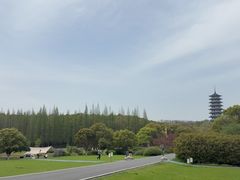 -宜兴龙背山森林公园