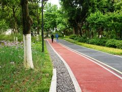 -大渡口区义渡公园