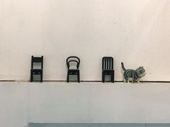 -red donkey coffee