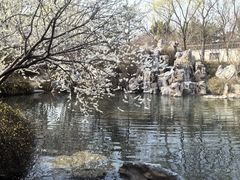 -北坞公园