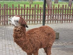 -西安秦岭野生动物园