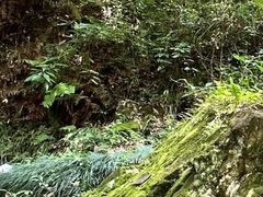 -刘伯温故里景区百丈漈