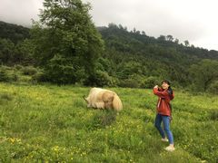 -硗碛藏寨·神木垒景区