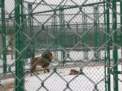 -鄂尔多斯野生动物园