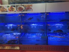 -老六杀猪菜(进乡街店)