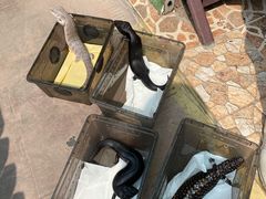 -深圳野生动物园宠物医院(西湖林语店)