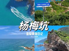 -杨梅坑