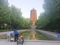 -玲珑塔公园