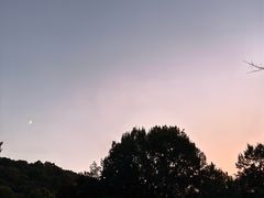 -九曜山