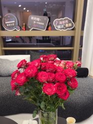 -JNK皮肤管理中心