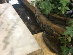 -山水草塘老菜馆