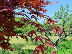 -白马涧龙池景区