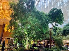 -成都世纪城假日酒店-西楼