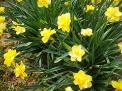 -国家植物园南园