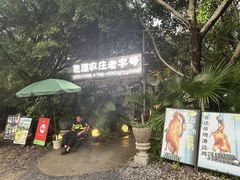 -芭厘农庄老字号·清远鸡