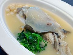 -沈灶河豚宴·河豚融合餐厅(汉中路店)