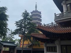 -高旻寺