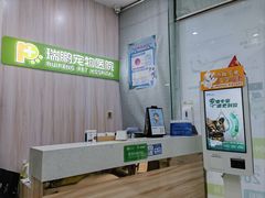 -瑞鹏宠物医院·微创内窥镜·骨外科·牙科(翠竹分院)
