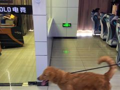 -SOLO电竞网咖(万达文旅城店)