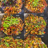 最佳下酒菜之香辣田螺肉，简单又美味[调皮]