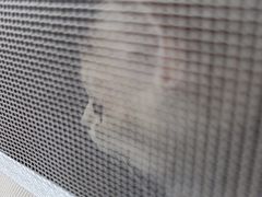 -申普宠物医院·眼科·心内科·影像科(普陀分院)