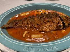 -阿五黄河大鲤鱼(海尚店)