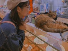 -猫的天空之城概念书店(杭州南宋御街店)