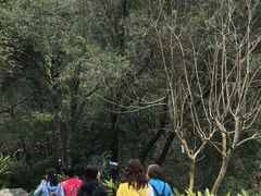 -云溪植物园