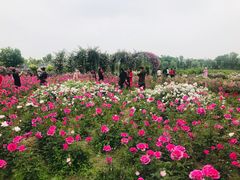 -尚贤河湿地