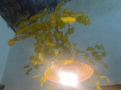 -米庄·原味私房菜(骏壹万邦店)