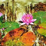 这都是什么神仙画手？画的也太美了吧！