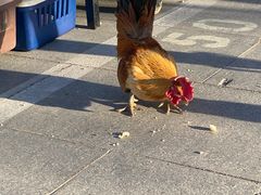 -华声天桥民俗文化园