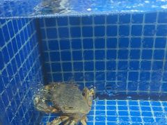 -碧海银沙海鲜餐厅(恒大海上威尼斯店)