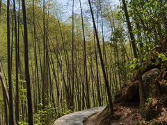 -黄山翡翠谷景区