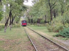 -永定河休闲森林公园