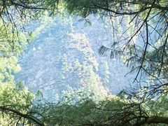 -苍山感通索道