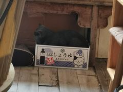 -海边的猫和咖啡馆