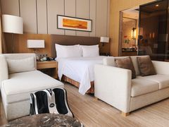 -徐州博顿温德姆酒店(高铁东站店)