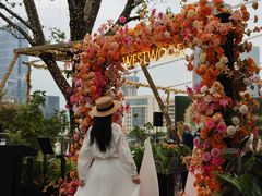 -WESTWOOD•落日餐厅•乐队演出(前海壹方汇店)