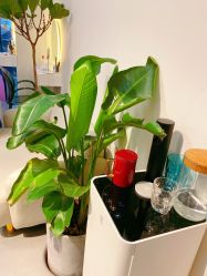 -美愈美肤MEIYU SKIN