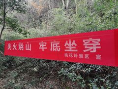 -桃花岭景区
