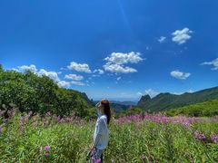 -秦岭风景区