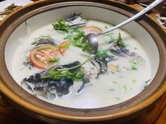 -全乐鱼馆·淳牌有机鱼直营店