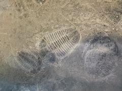 -金钉子远古世界景区