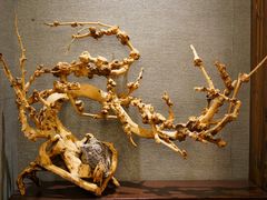 -天元坊(梁溪店)