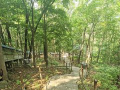 -帽儿山风景区