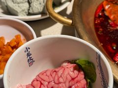 -小龙坎火锅(全球旗舰店)